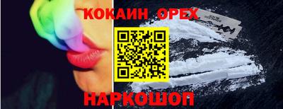крисы Новокубанск