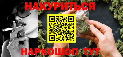 крисы Новокубанск