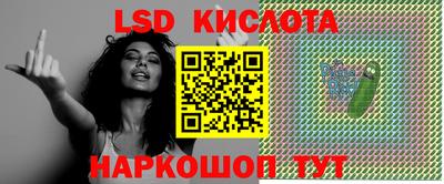 крисы Новокубанск