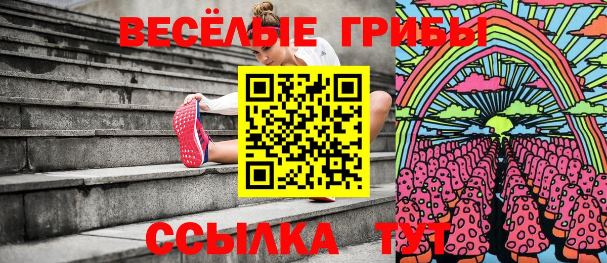 Псилоцибиновые грибы GOLDEN TEACHER Стрежевой