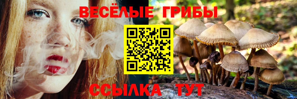 Стрежевой  Псилоцибиновые грибы ЛСД  Вход с VPN 
